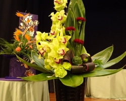DSC00824 (1)