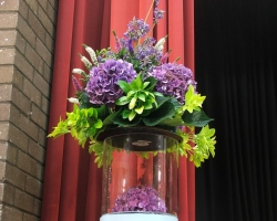 purple-hy