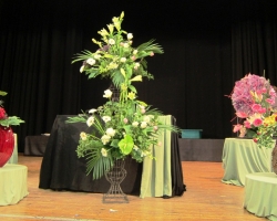 stage