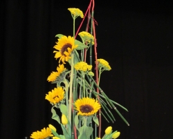 sunflower-sml