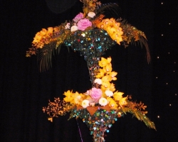 orchids.jpg
