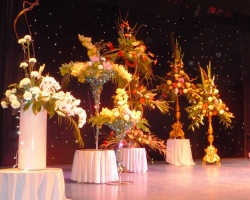 whole-stage.jpg