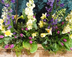 sml-close-up-of-grdn.jpg