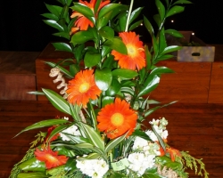 sml-red-gerbera.jpg