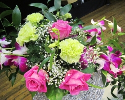 pink-roses-close-up