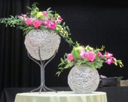 pink-roses