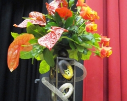 red-roses