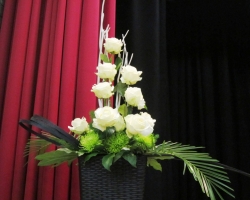 white-roses