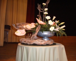 anthurium.jpg