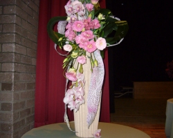 p1000855.jpg