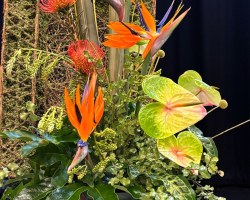 IMG-20260305-WA0007-1