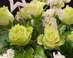 IMG-20231107-WA0000