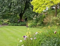lawn-gs.jpg
