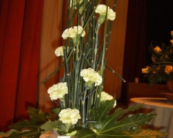 3july07lge.jpg