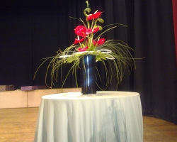 gm-anthurium