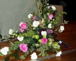 pink-and-white.jpg
