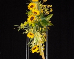 sunflowers.jpg