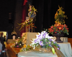 whole-stage.jpg