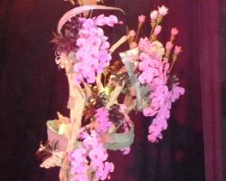 orchids-on-driftwood.jpg