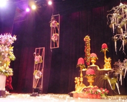 whole-stage.jpg