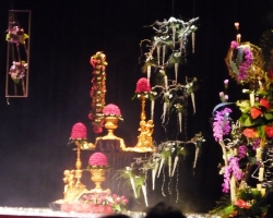 whole-stage2.jpg
