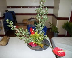 afternoon-arrangement.jpg