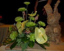p1000151.jpg