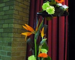 a-gerberas