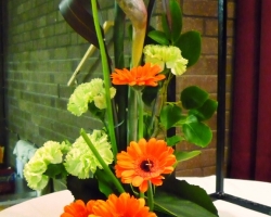 a-half-gerbera