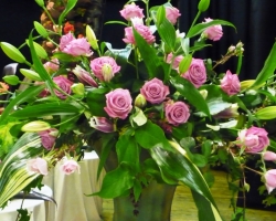 p1020194conspry.jpg