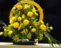 p1020196gold.jpg