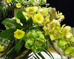 p1020199orchid.jpg