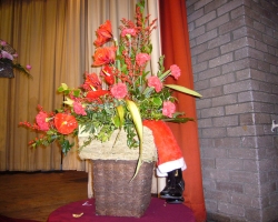 p1000406.jpg