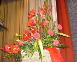 p1000407.jpg