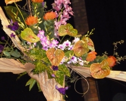 a-close-up.jpg