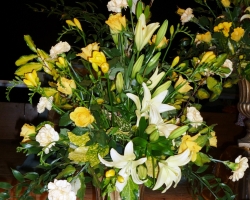 ap1000378.jpg