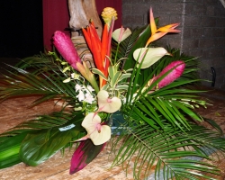 ap1000379.jpg
