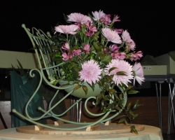 ap1000385.jpg