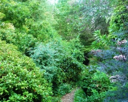 a-path