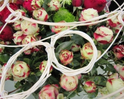 pom-pom-roses