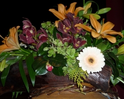 p1000205.jpg