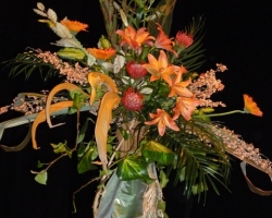 p1000206.jpg