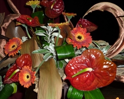 p1000207.jpg