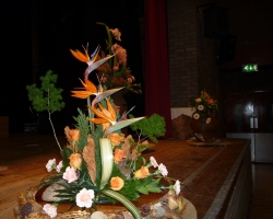p1000210.jpg