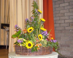 p1000359.jpg