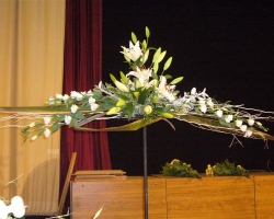 p1000361.jpg