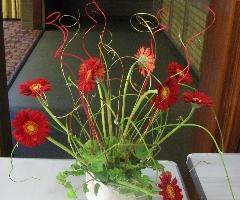 img_1305.jpg