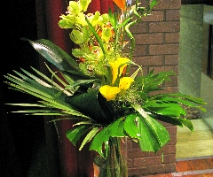 img_1344.jpg