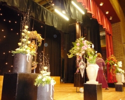whole-stage.jpg