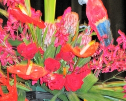 IMG_1465 (2)